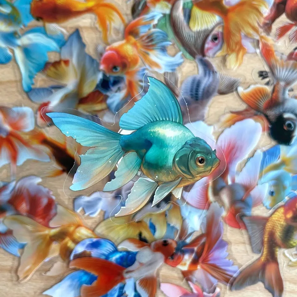 Pack of 49 Transparent Koi Goldfish Stickers thumbnail