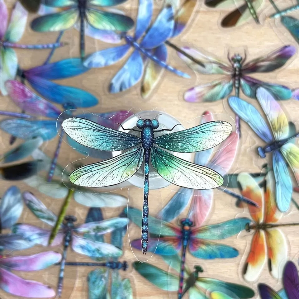 Pack of 50 Transparent Dragonfly Stickers image indicator(4)