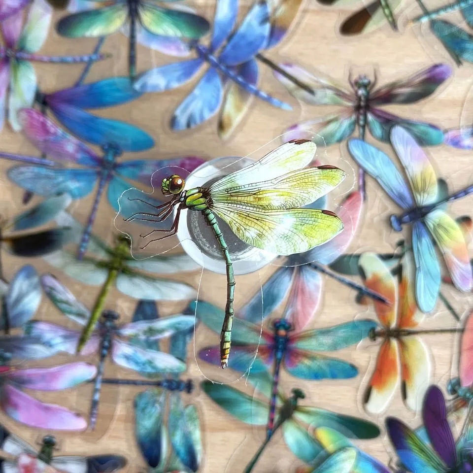 Pack of 50 Transparent Dragonfly Stickers image indicator(5)