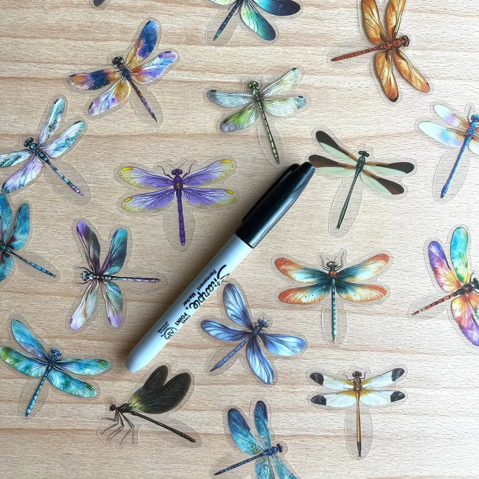 Pack of 50 Transparent Dragonfly Stickers image indicator(7)