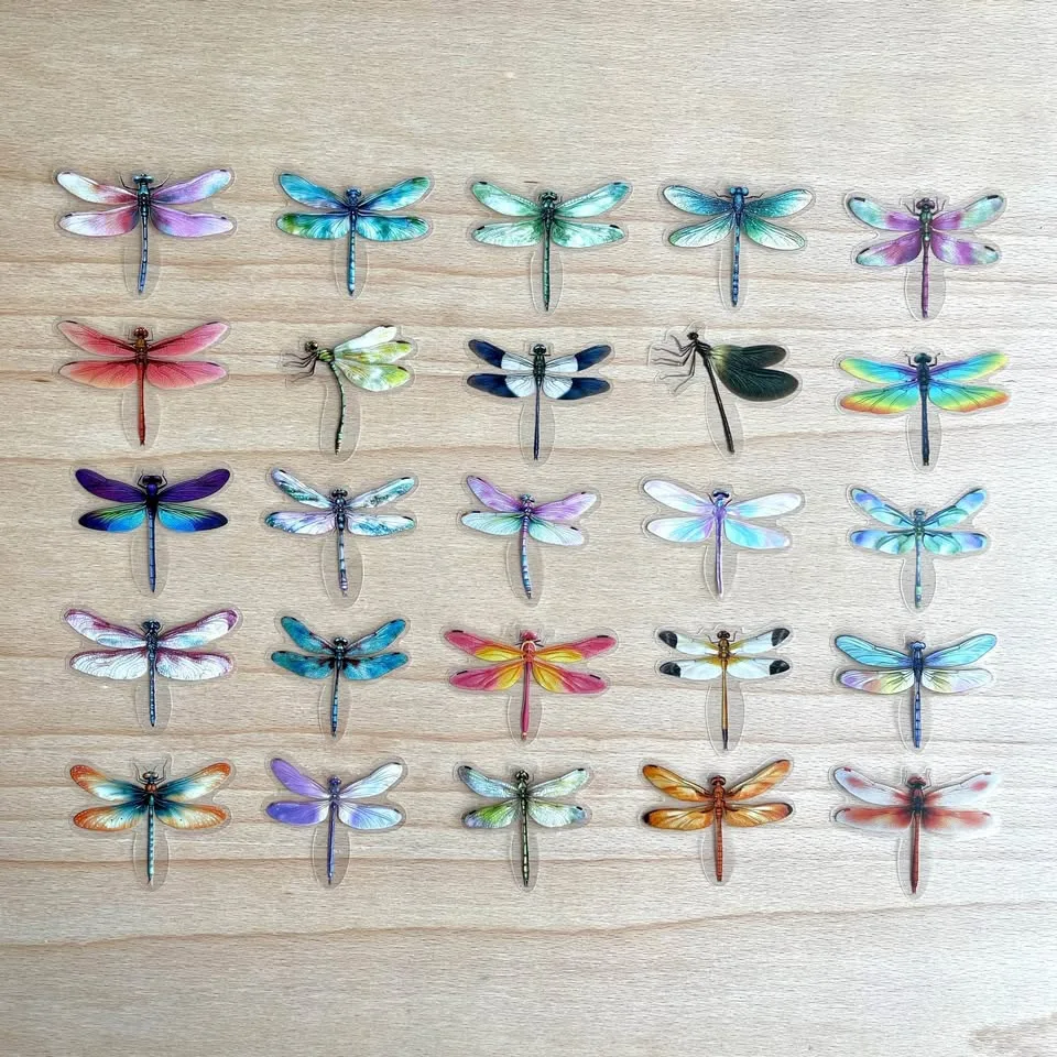 Pack of 50 Transparent Dragonfly Stickers image indicator(9)