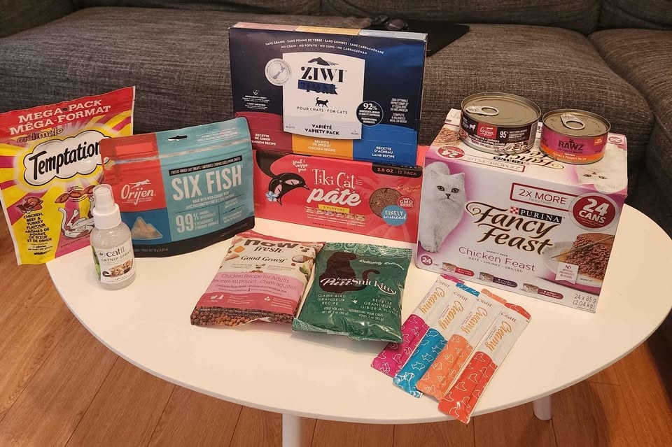 Premium Cat Food & Treat Mega Bundle – $85 🐾