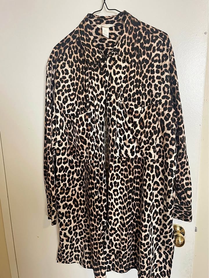 H&M Blouse