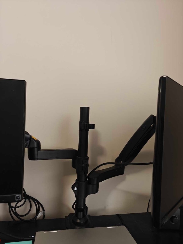 22" LG Monitors and Dual Arm Mount - photo 2