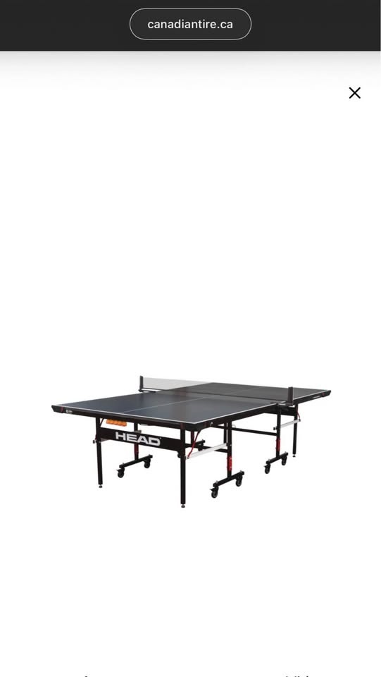 Ping Pong Table (From CTire) - photo 4