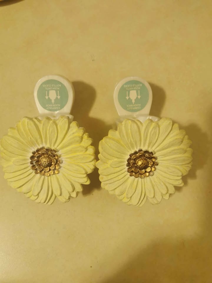 Fragrance Oil Plug-In Diffusers - photo 2