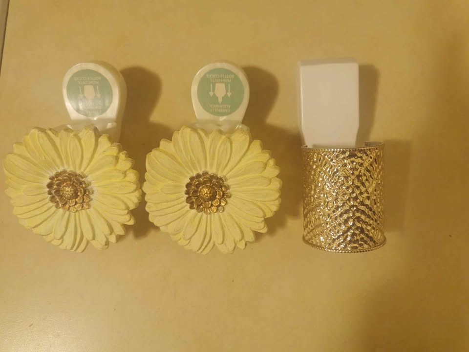 Fragrance Oil Plug-In Diffusers - photo 3