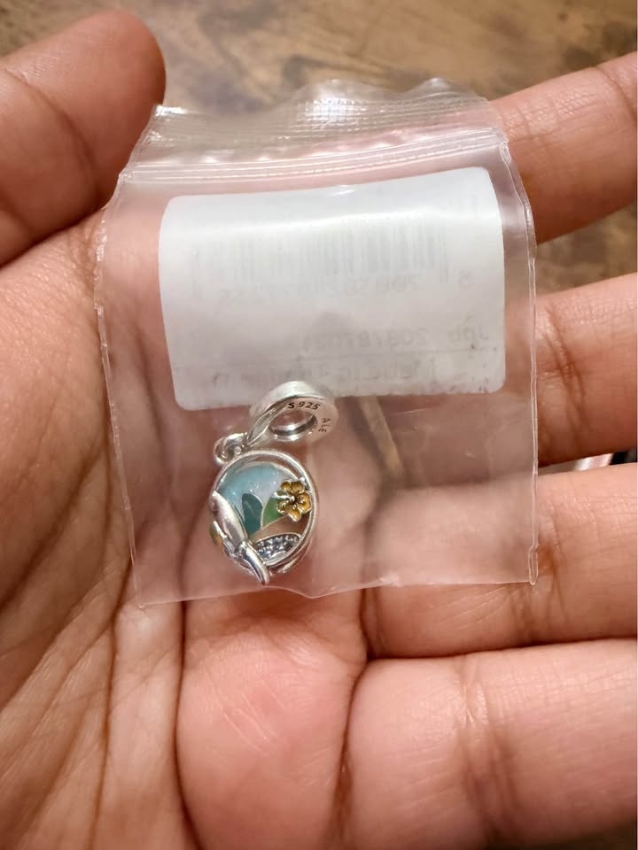 DISCONTINUED Pandora "Love Brazil" Charm – Limited Edition - photo 3
