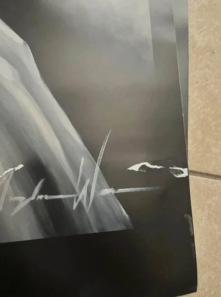 Angelina Wrona Hand Signed Poster LOT image indicator(8)