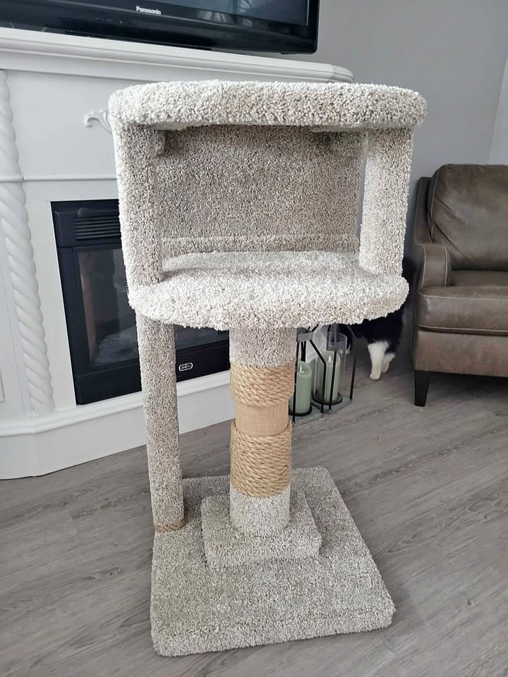 A Cozy New Home for Your Feline Friend! 🐾