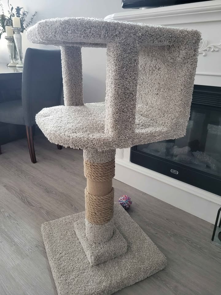 A Cozy New Home for Your Feline Friend! 🐾 - photo 2
