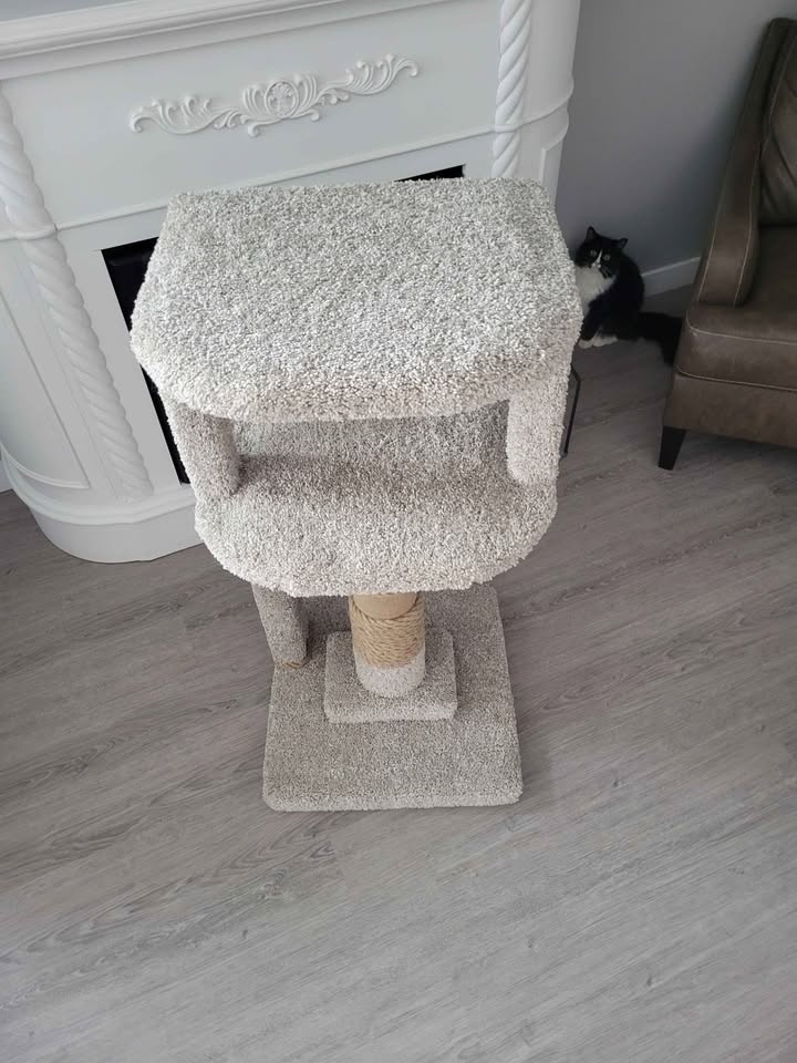 A Cozy New Home for Your Feline Friend! 🐾 - photo 3