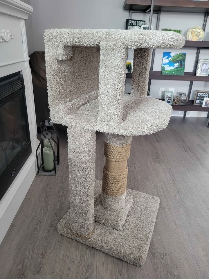 A Cozy New Home for Your Feline Friend! 🐾 - photo 4