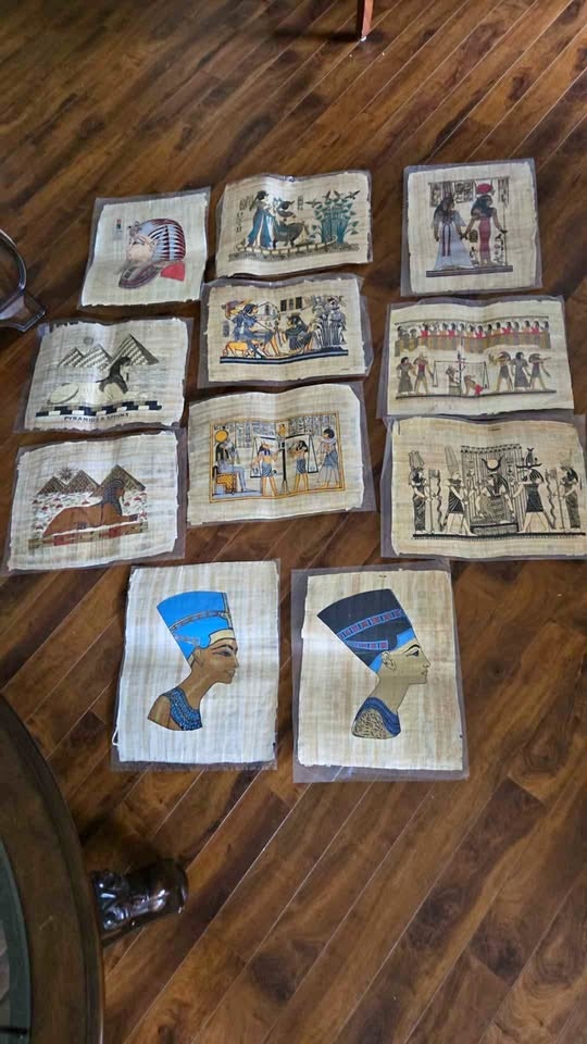 Egyptian Papyrus - BEST PRICE!