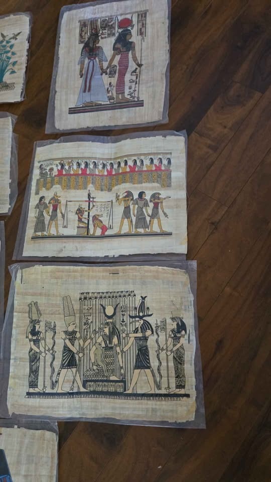 Egyptian Papyrus - BEST PRICE! - photo 2