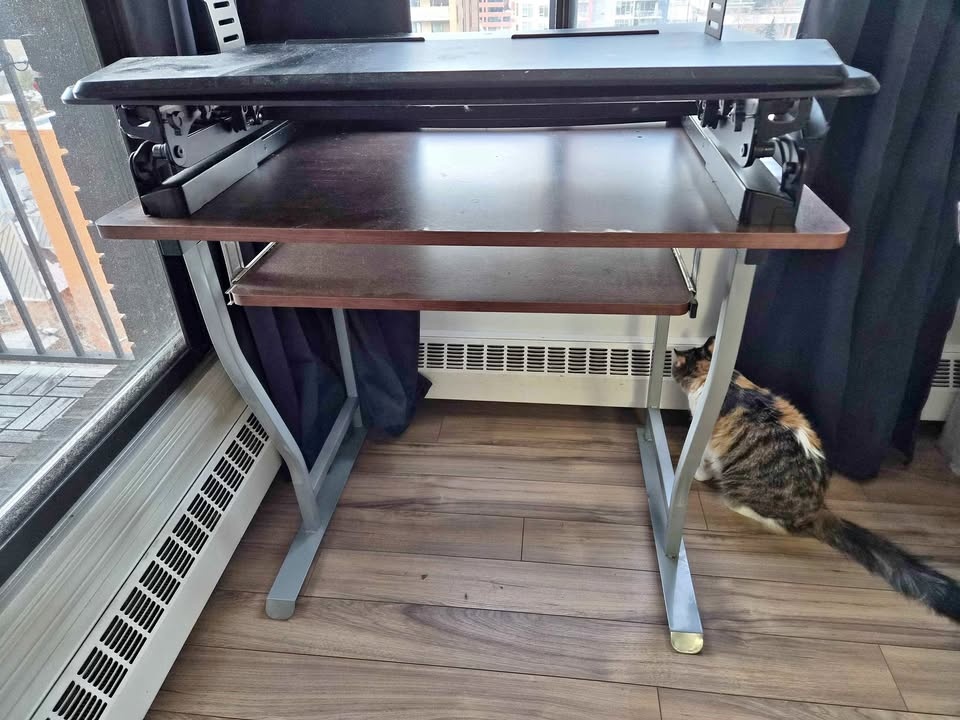 PrimeCables Standing Desk Converter & Table