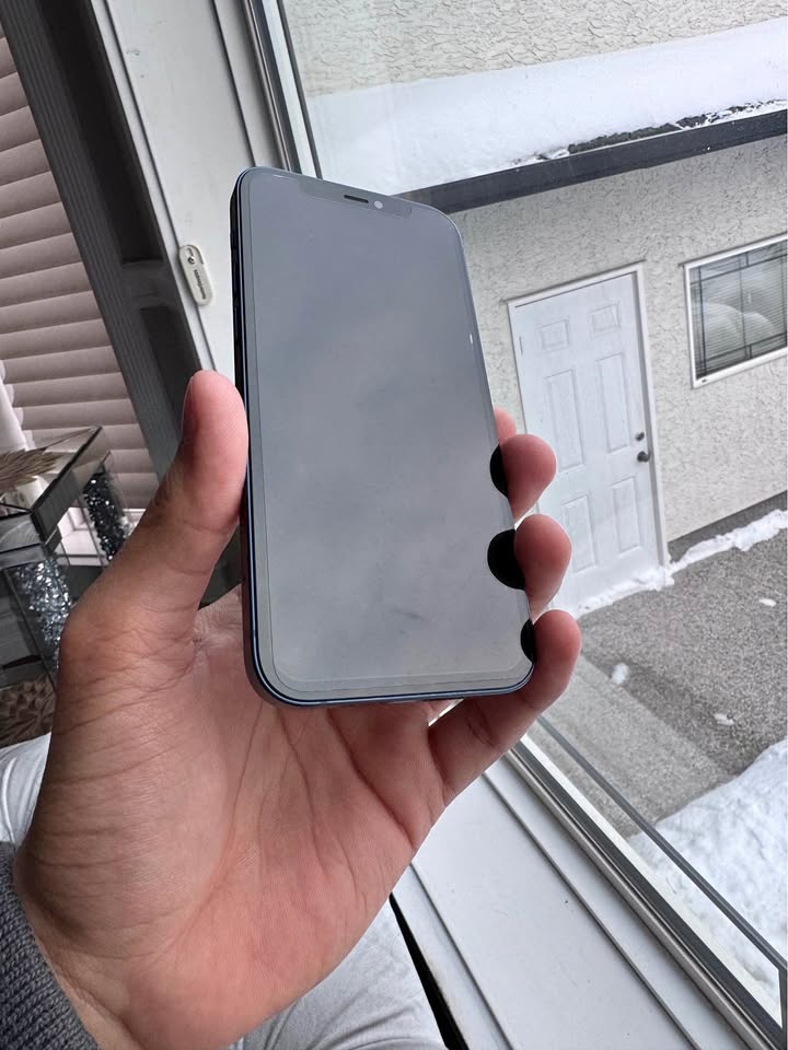 iPhone 12 256GB Blue Unlocked Mint Condition
