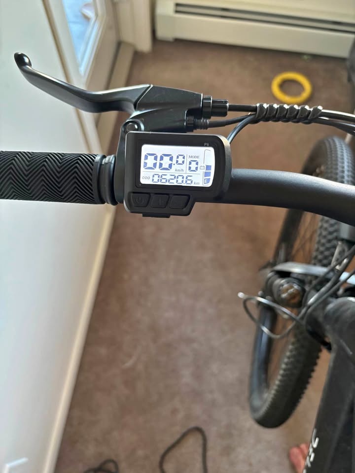 Delorean DM-100 Electric Bike
