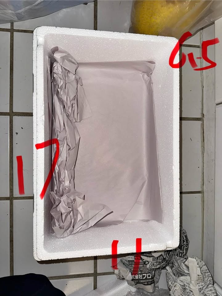 Free styrofoam box