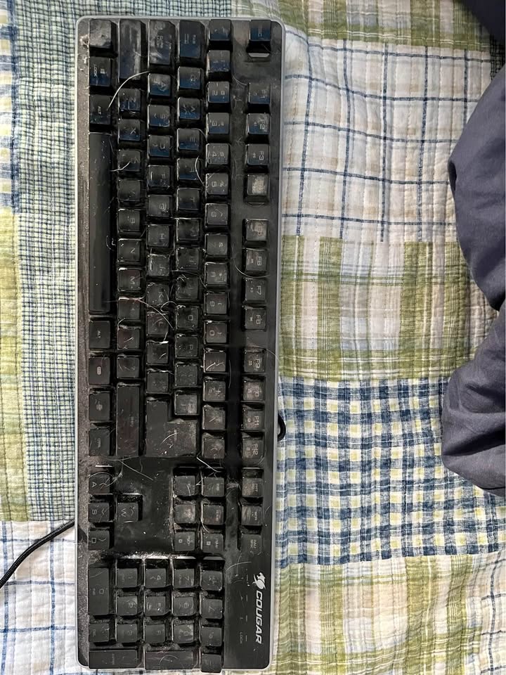 Cougar Keyboard