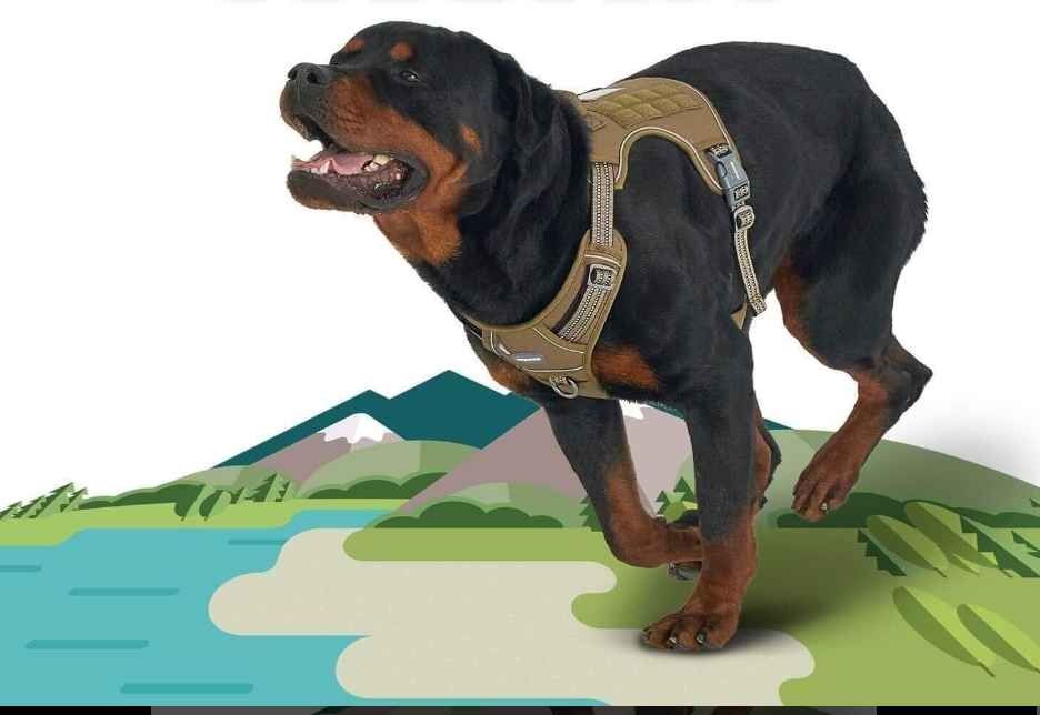 Dog Tactical Harness - Small - photo 2