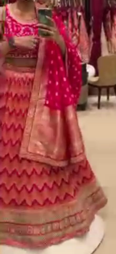 Beautiful New Organza Lehenga from Delhi - photo 4