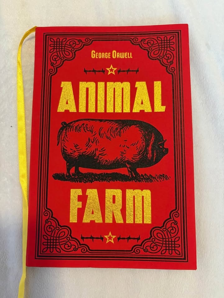 Paper Mill Classics Books with Ribbon - photo 4