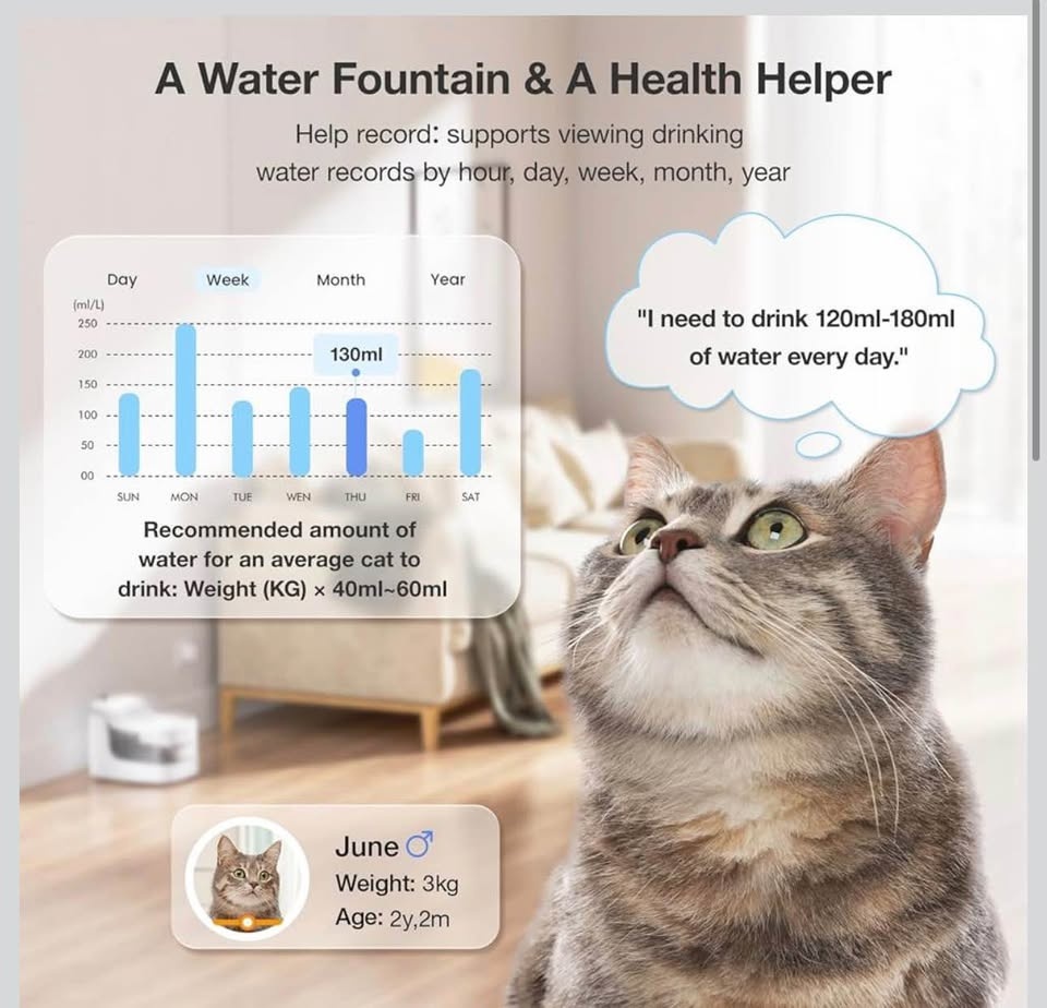 PETGUGU Smart Cat Water Fountain - photo 3