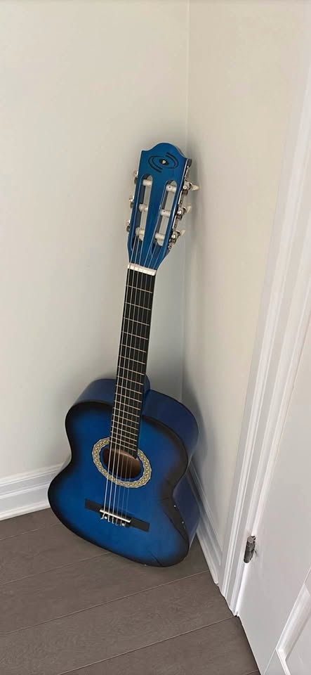 Guitar with accessories