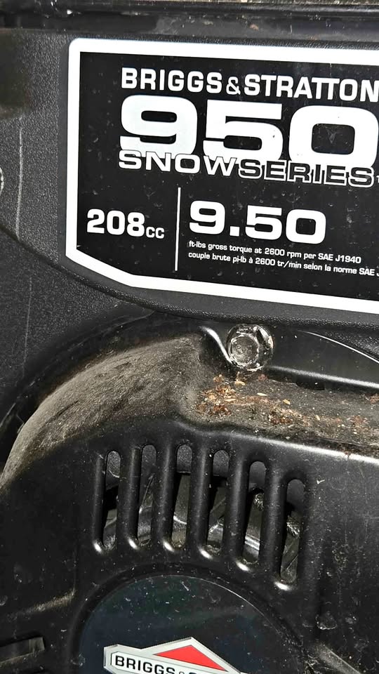 Briggs and Statton Snow blower