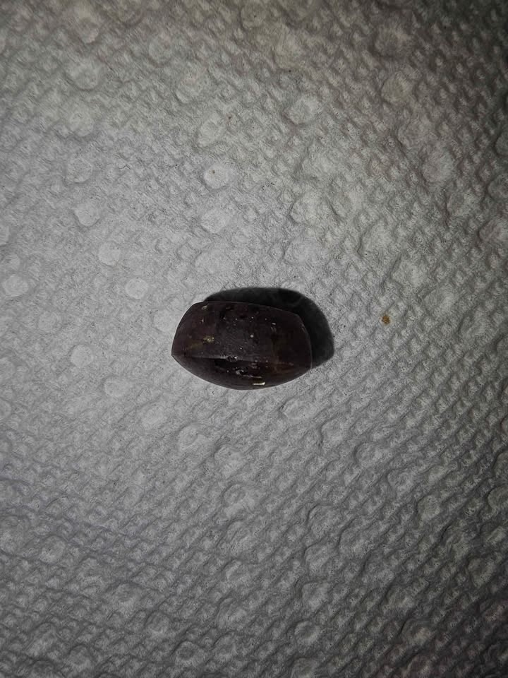 Natural Burmese Star Ruby Loose Stone 15.75ct - photo 5