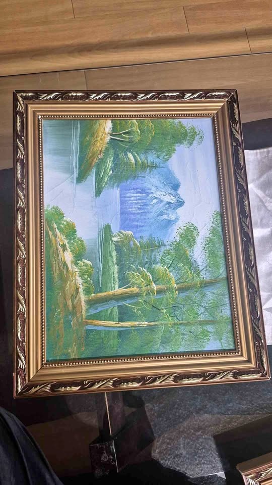 Oil paintings on canvas