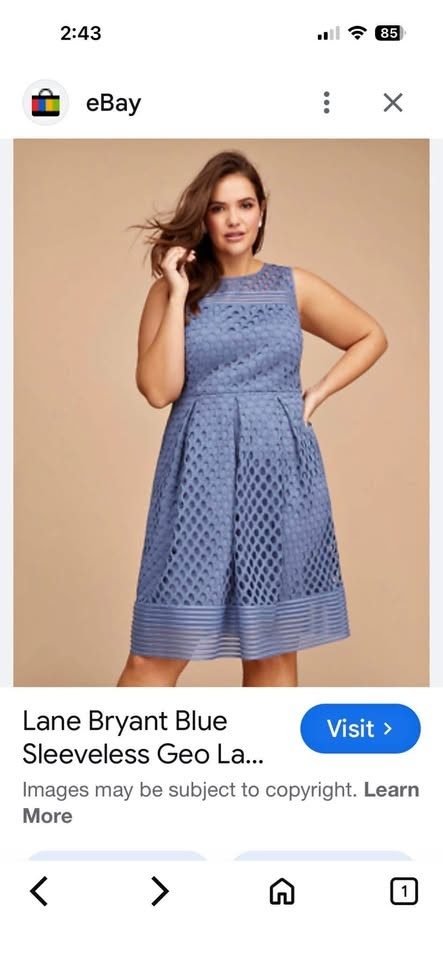Used Blue Lane Bryant Crochet Mesh Dress size 14