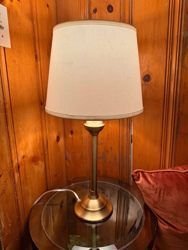 EUC Table Lamp