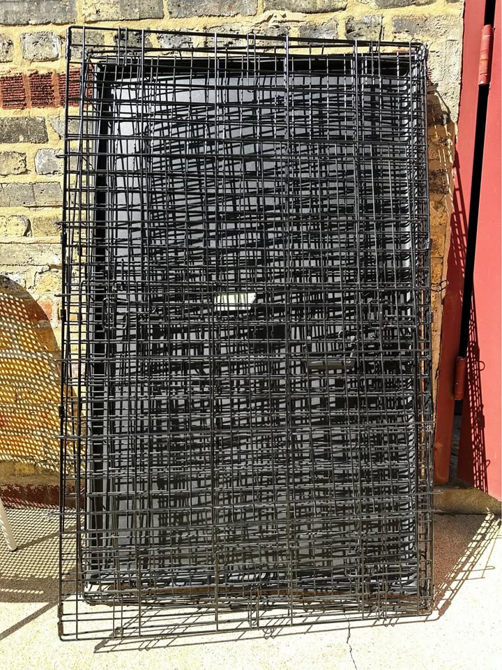 ICRATE - MidWest Homes - Double Door! - photo 5