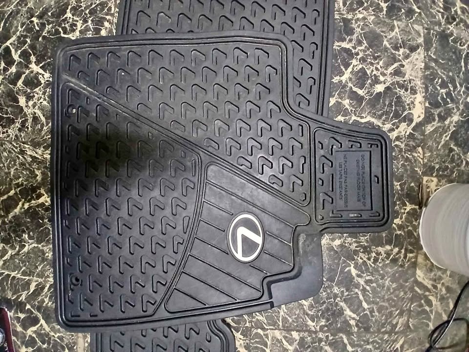 2010 Lexus RX 350 Winter Floor Mats