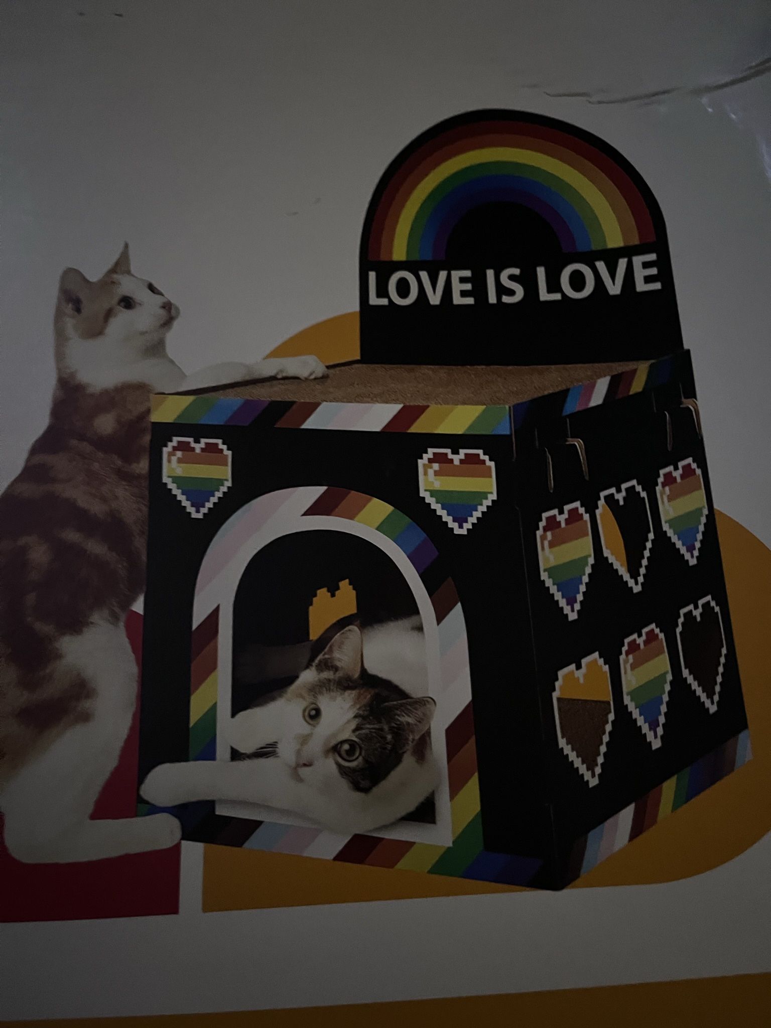 Cat Scratcher