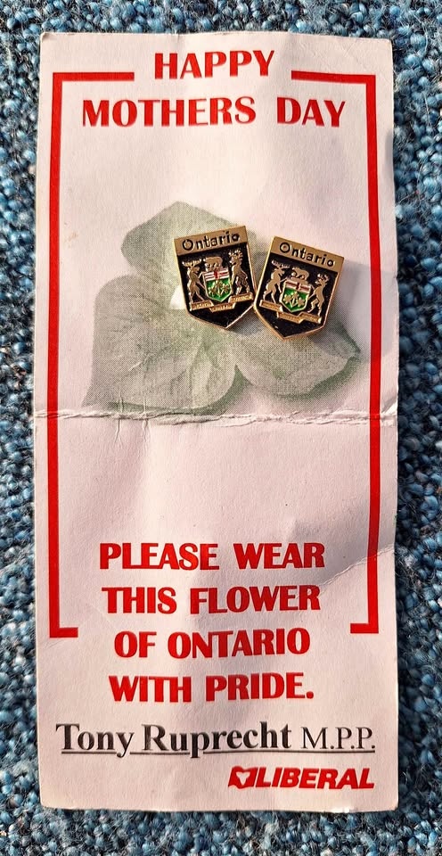 Vintage Ontario Pins
