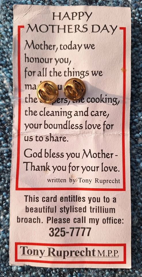 Vintage Ontario Pins - photo 2
