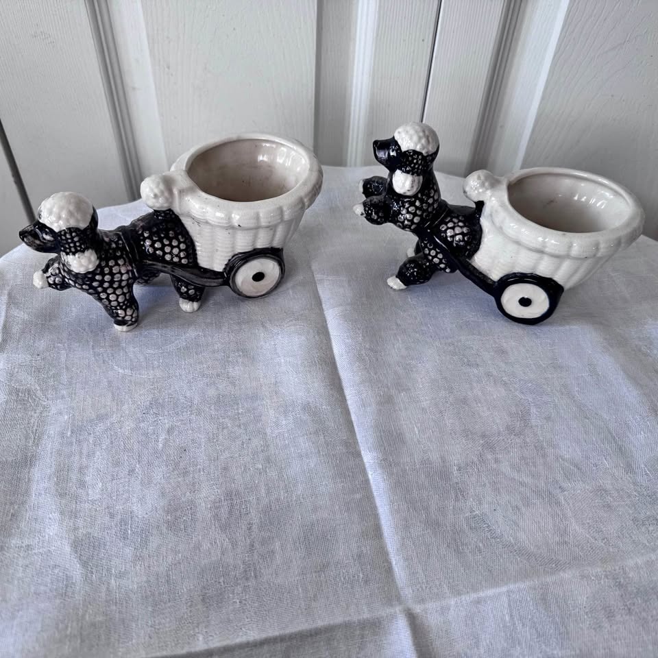 Vintage poodles pulling carts