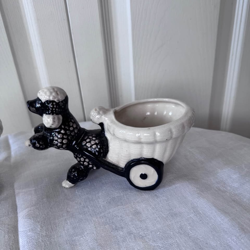 Vintage poodles pulling carts - photo 3
