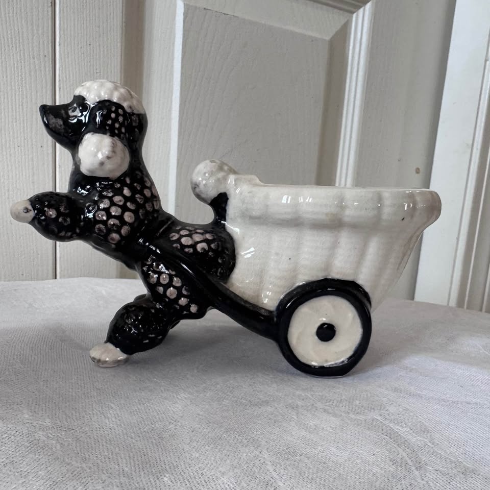 Vintage poodles pulling carts - photo 5