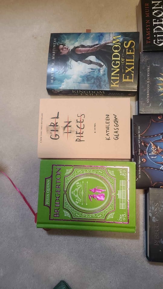Popular TikTok YA Books - photo 2