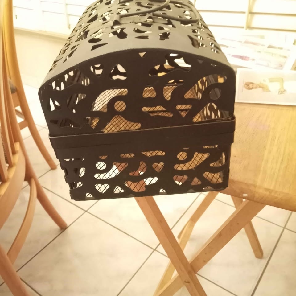 Vintage Hinged Iron Chest - photo 3