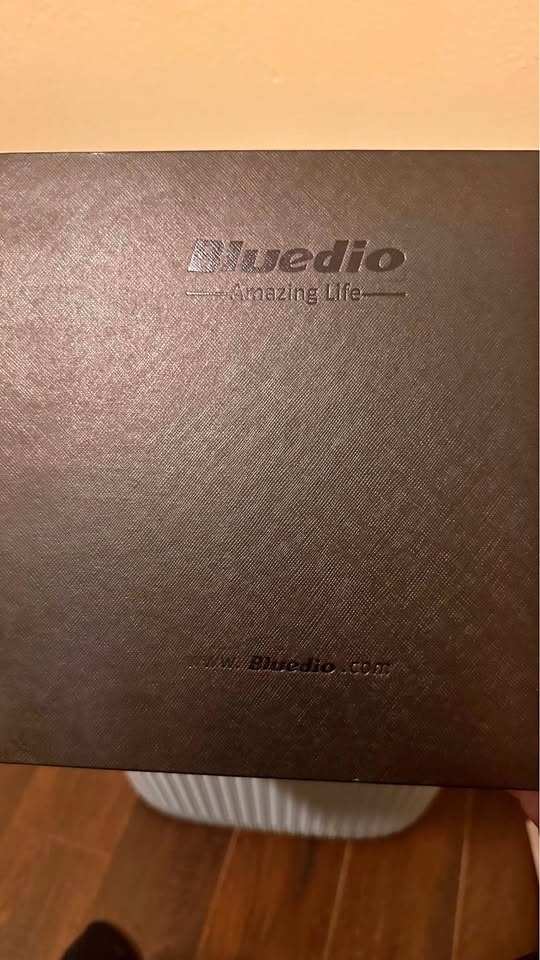 Bluedio Microphone