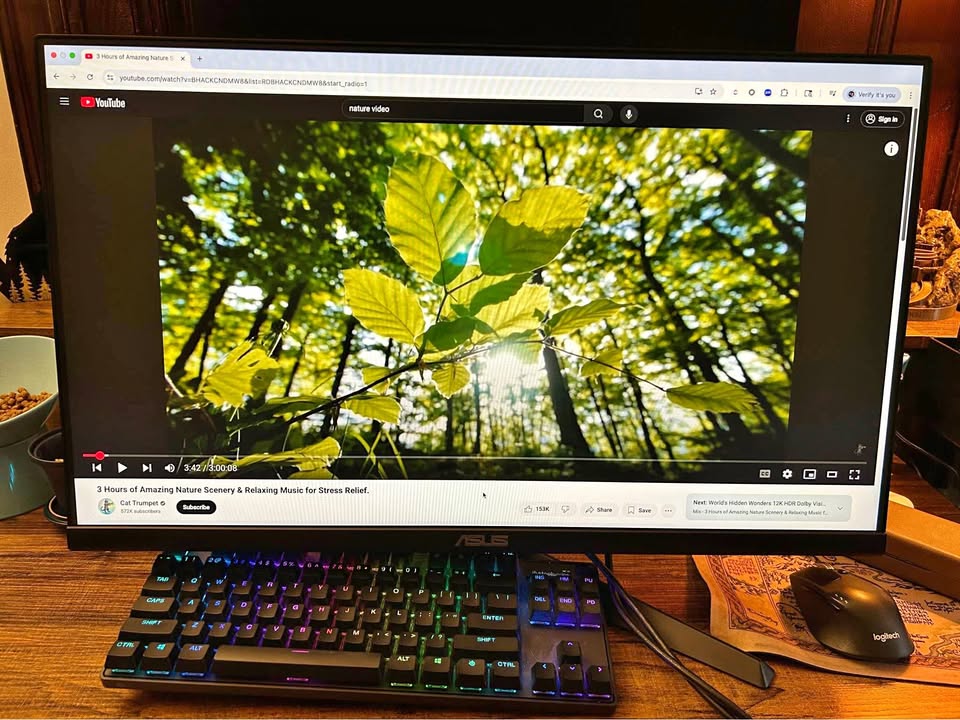ASUS 27" HD 75Hz Monitor with Eye Care