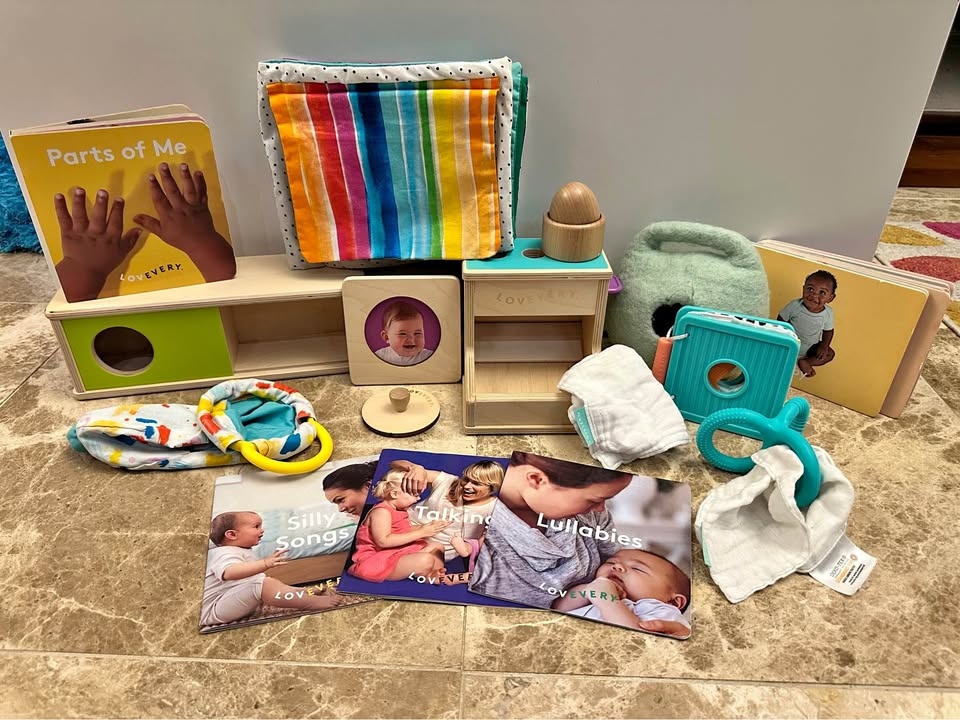 Lovevery Baby Play Kit Toys & Books Lot