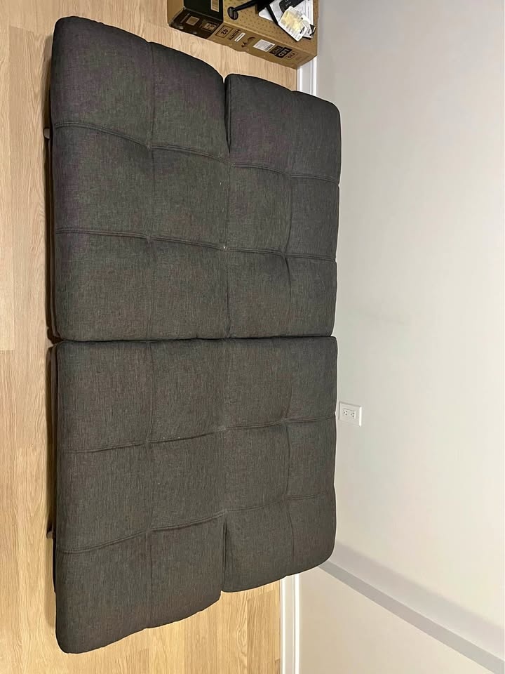 Futon Couch