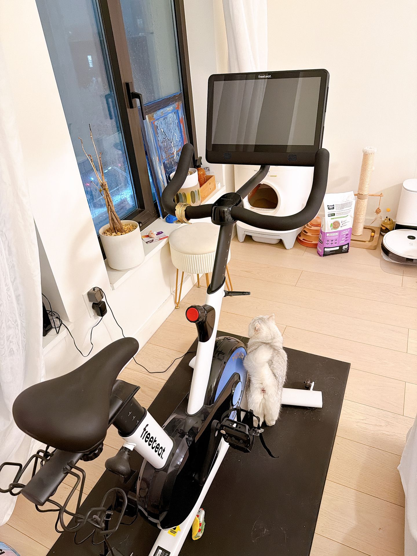 Freebeat Cycling Bike - photo 2