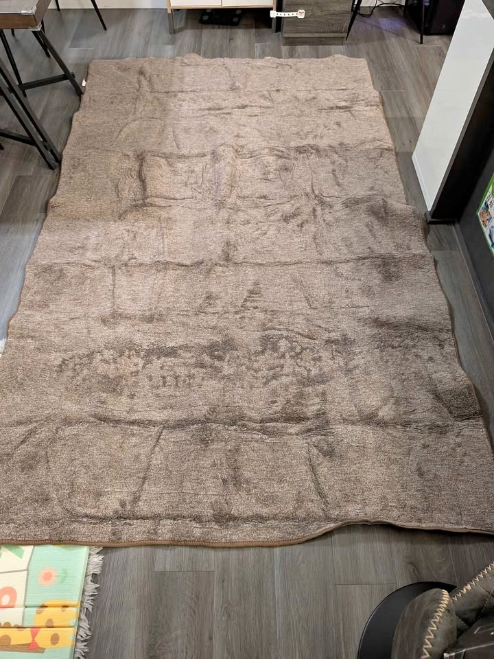 Area rug 5.5ftx8.75ft